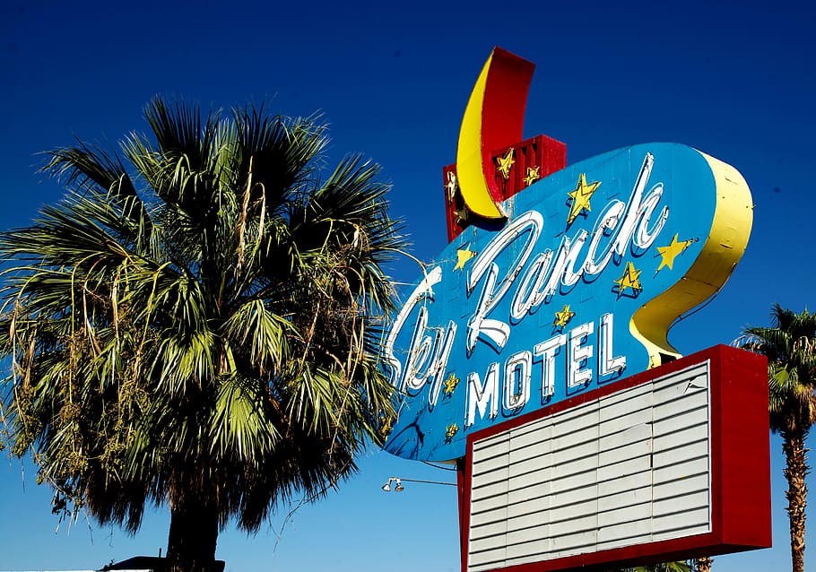 sky ranch motel signage, green, leafed, tree, daytime, las vegas motel, mont street, las vegas, carol m highsmith, nevada