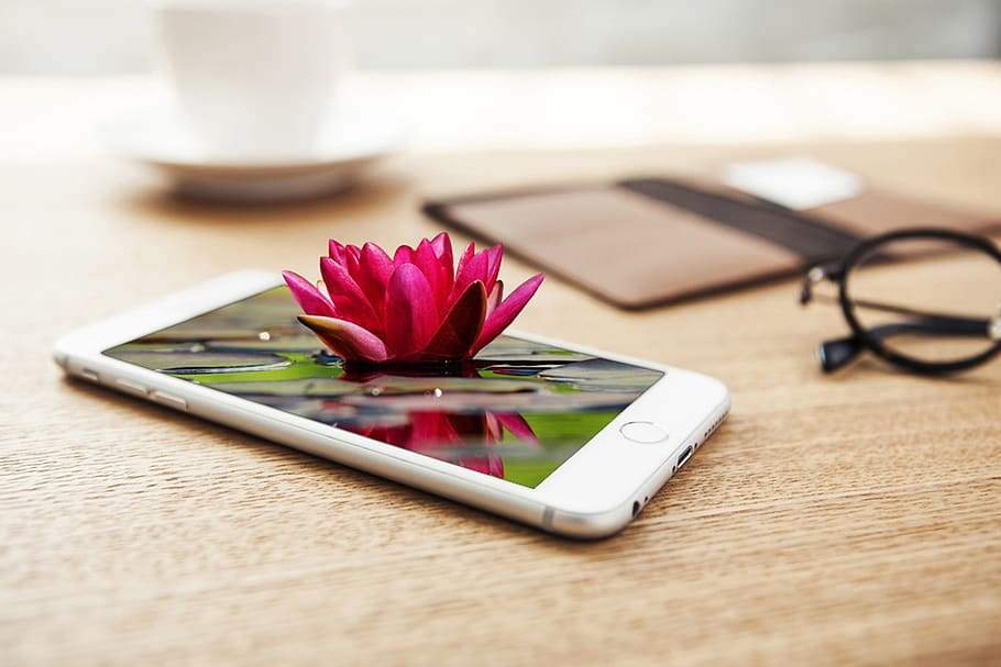 water lily, mobile phone, smartphone, 3d, manipulation, screen, app, table, flowering plant, flower
