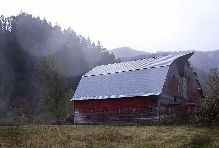 gray, red, house, surrounded, tree, roof, painted, near, mountain, barn