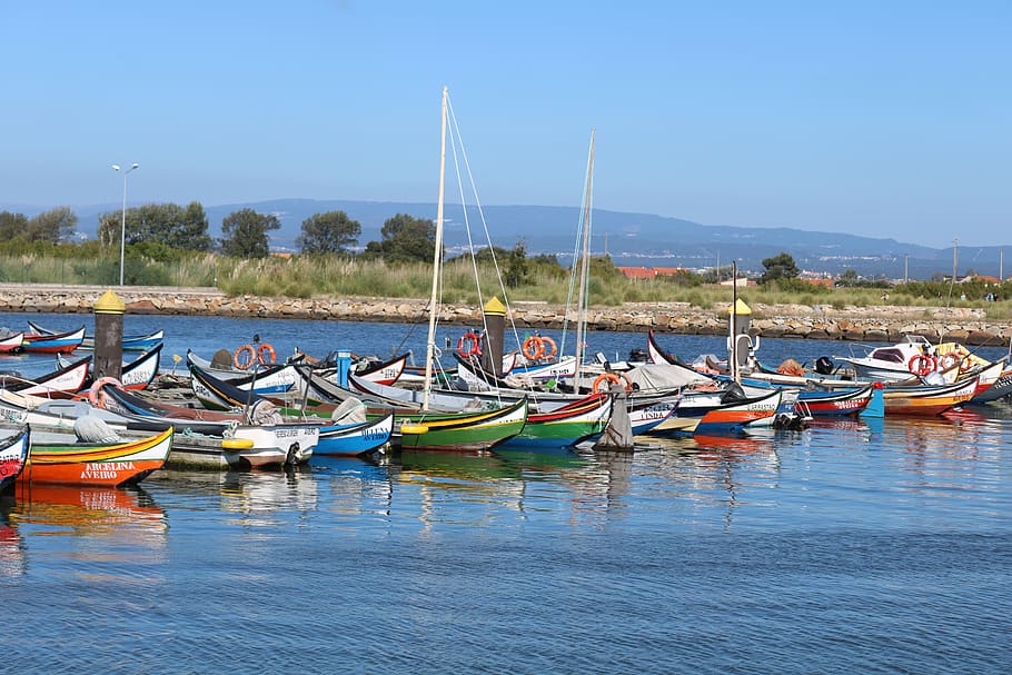 boats, moliceiros, aveiro, channel, moliceiro, portugal, water, ria, costa nova, ovos moles