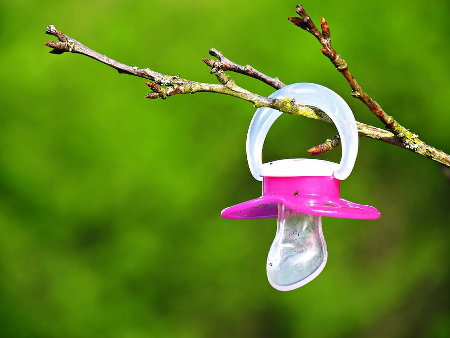 pink, hanging, stem, Tree, Pacifier, Suspended, Branch, Child, day, childhood