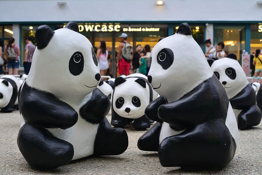 Hongkong, Panda, Pmq, Central, Asia, art, central, asia, cute, animal, relax