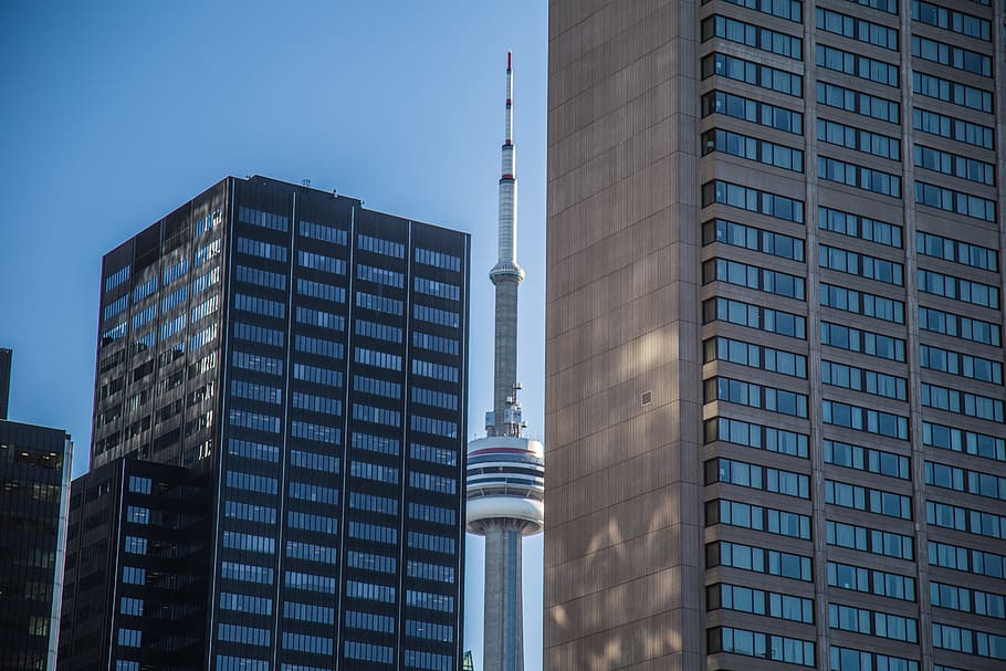 toronto, cn tower, canada, building, architecture, fall, buildings, see through, building exterior, built structure