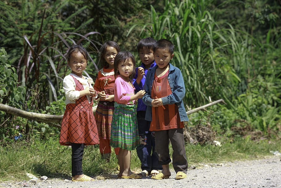 group, children, standing, road, green, leafed, plants, daytime, child, high land