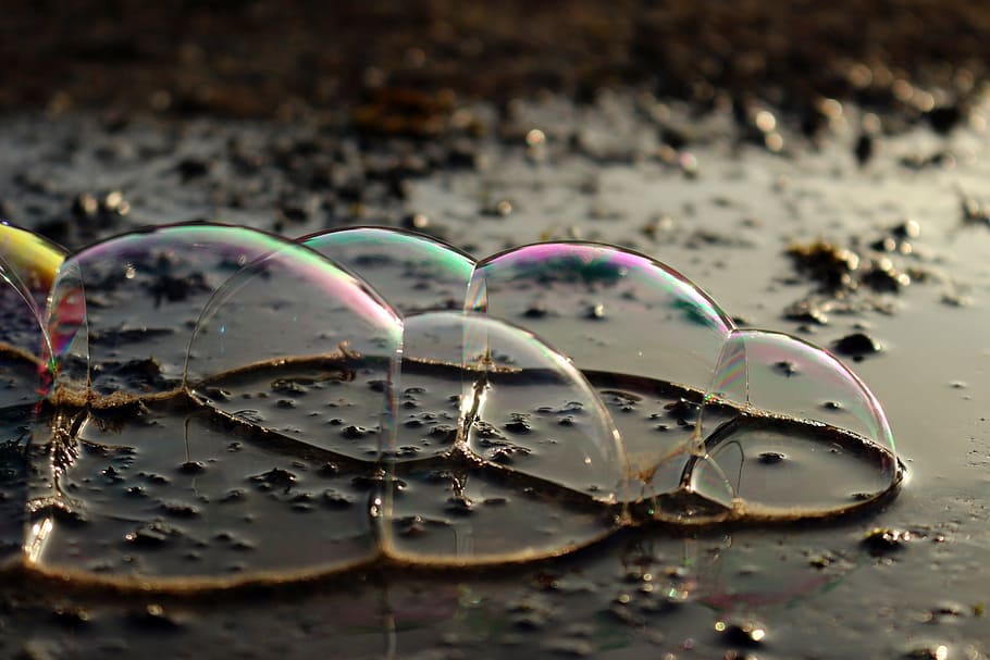 puddle, soap bubbles, blow, water, iridescent, bubble, drop, nature, liquid, wet