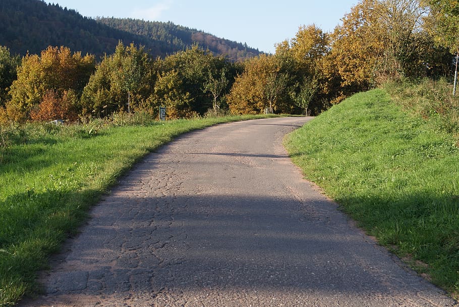 jalan, belokan jalan, jauh, jalur sepeda, musim gugur, pohon, hutan, alam, pemandangan, cerah
