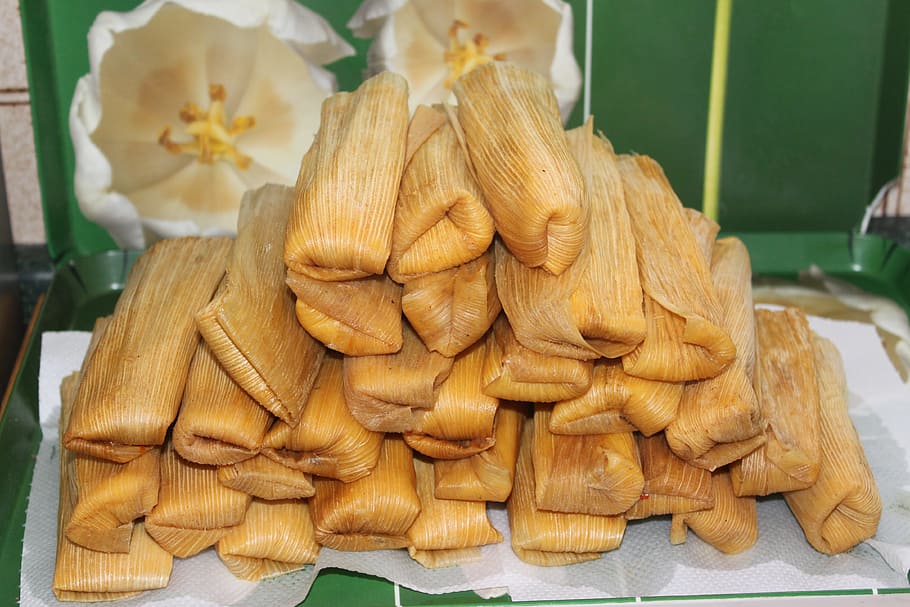 rice cakes, Tamales, Mexico, Food, yellow, cultures, asia, food and drink, freshness, close-up