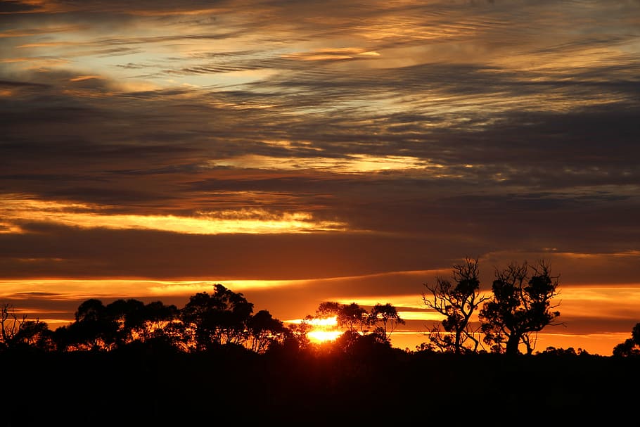 sunrise, clouds, sky, busselton, margaret river, australia, western australia, geographe, sunset, cloud - sky