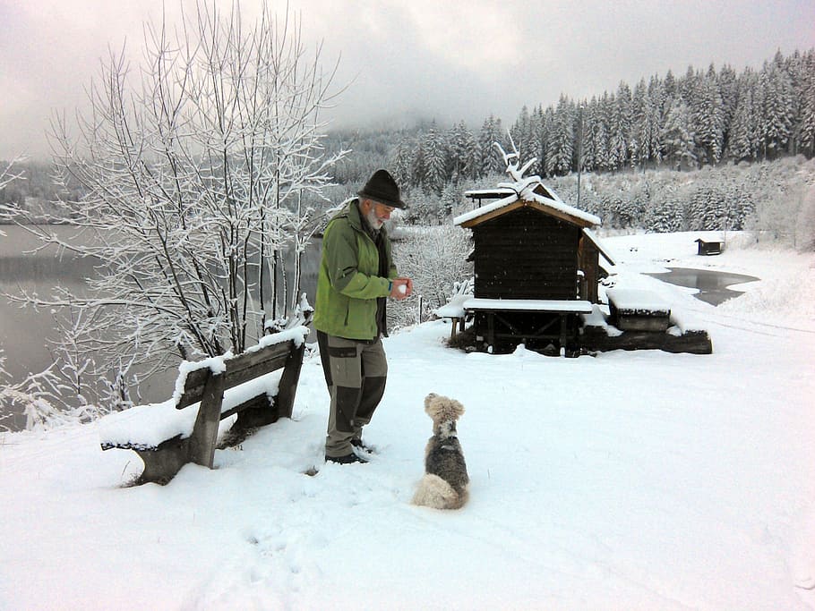 Invierno, frío, anciano, perro, invernal, paisaje nevado, nieve, cielo nevado, lago, hombre de edad y su perro