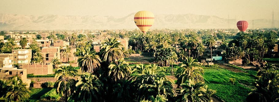 sky, mountains, hot air balloons, green, trass, palm trees, houses, buildings, panoramic, balloon