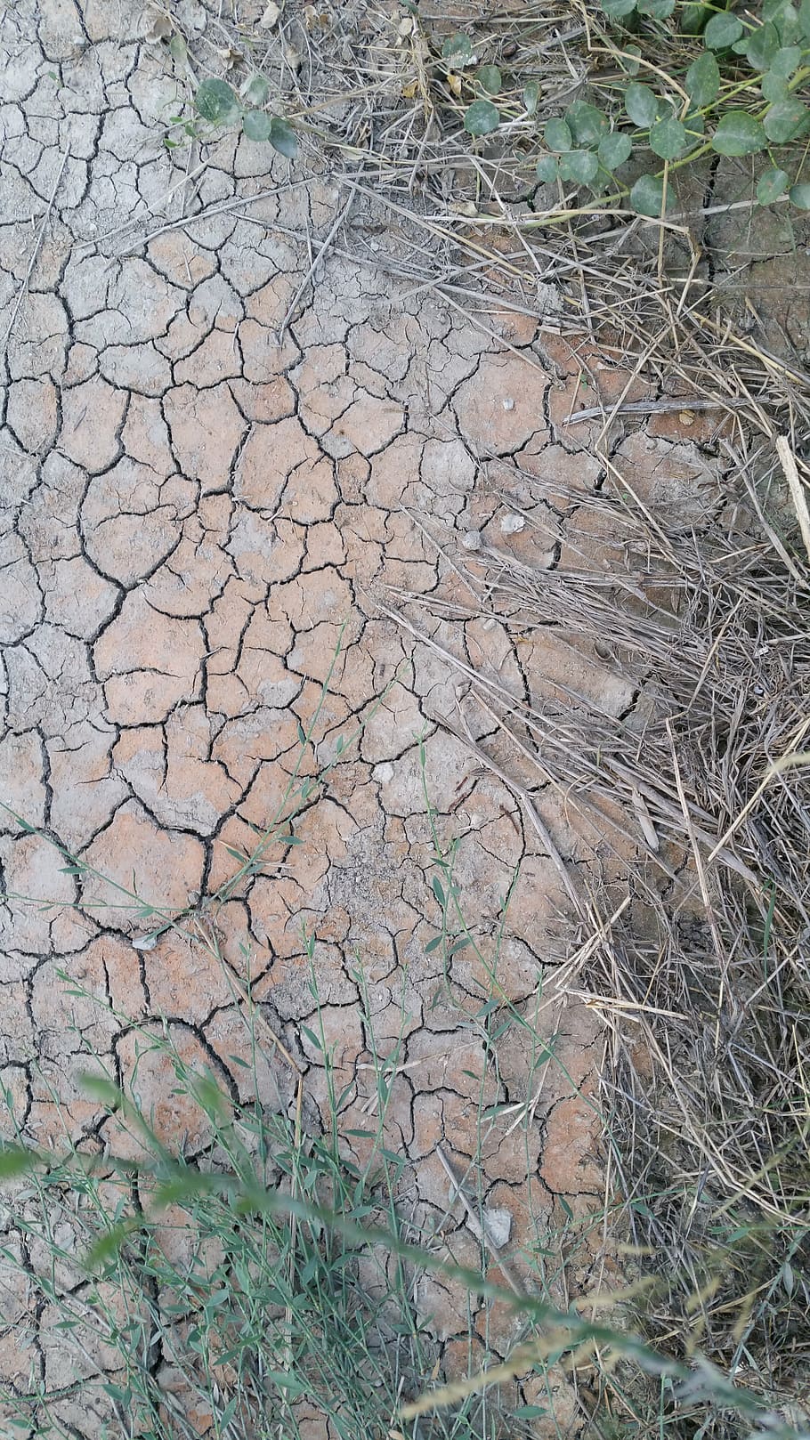 suelo, sequedad, sequía, cambio climático, creta, naturaleza, agrietado, seco, clima árido, clima