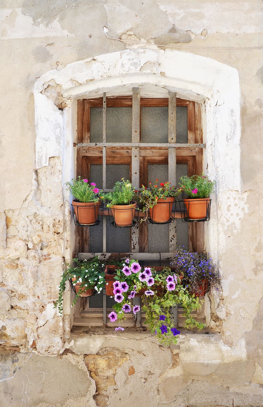 ウィンドウ, 花, 元, フランス, 建築, 古い家, 家の正面, 遺産, 地中海の家, 鉢植えの植物