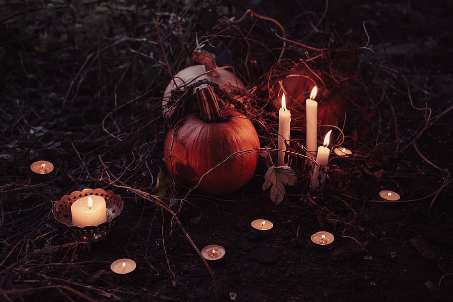 halloween dekorasi, menyala, putih, lilin, labu, trik atau mengobati, halloween, november, rumput, buah