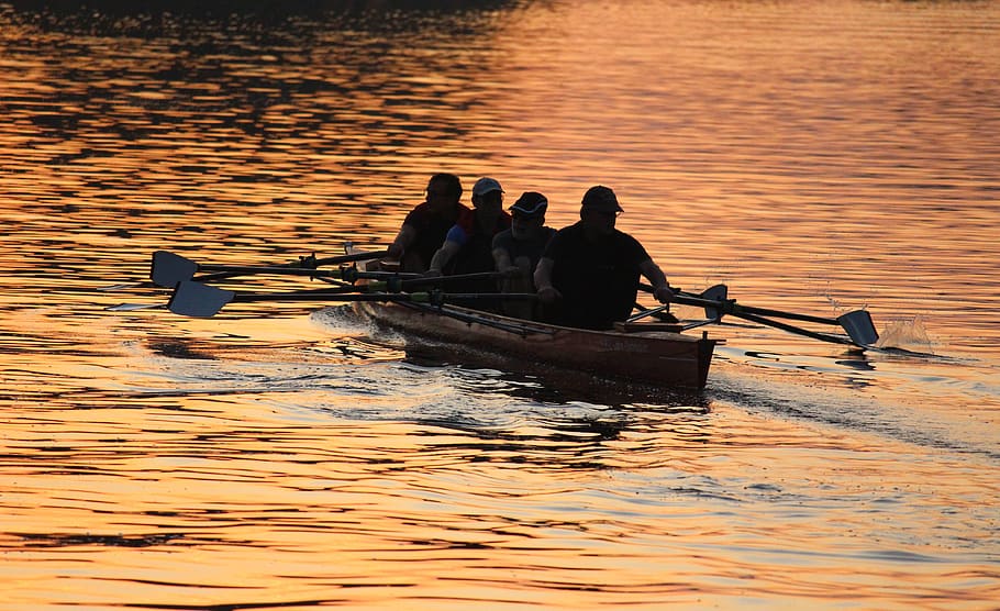sunset, rowing, paddle boat, dusk, water, boat, canoeing, evening, river, sport