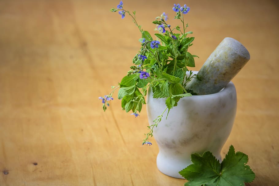 purple, clustered, flowers, pestle, mortal, natural medicine, herbs from the meadow, nature, health, mortar
