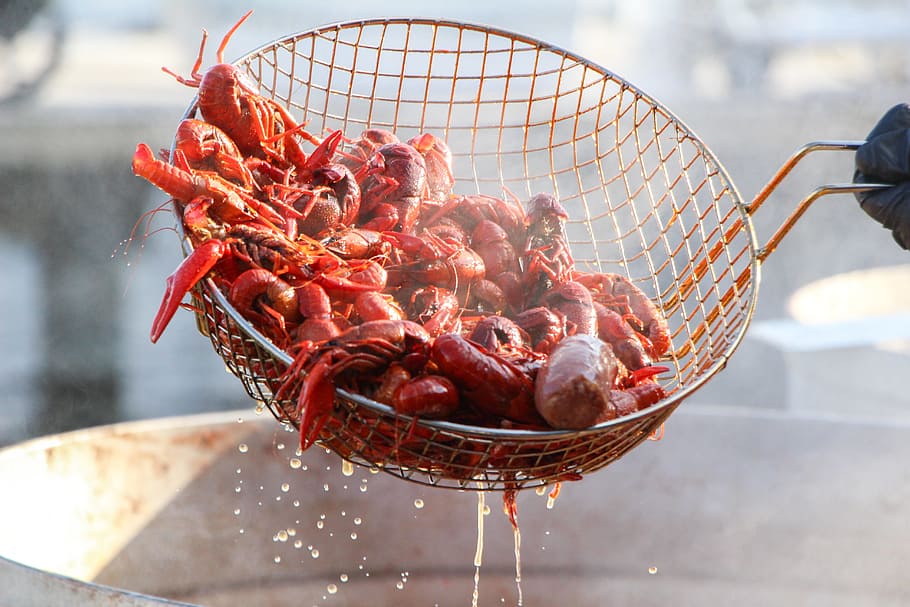 shrimp on strainer, crawfish, seafood, food, prepared, cooked, boil, rustic, food and drink, freshness