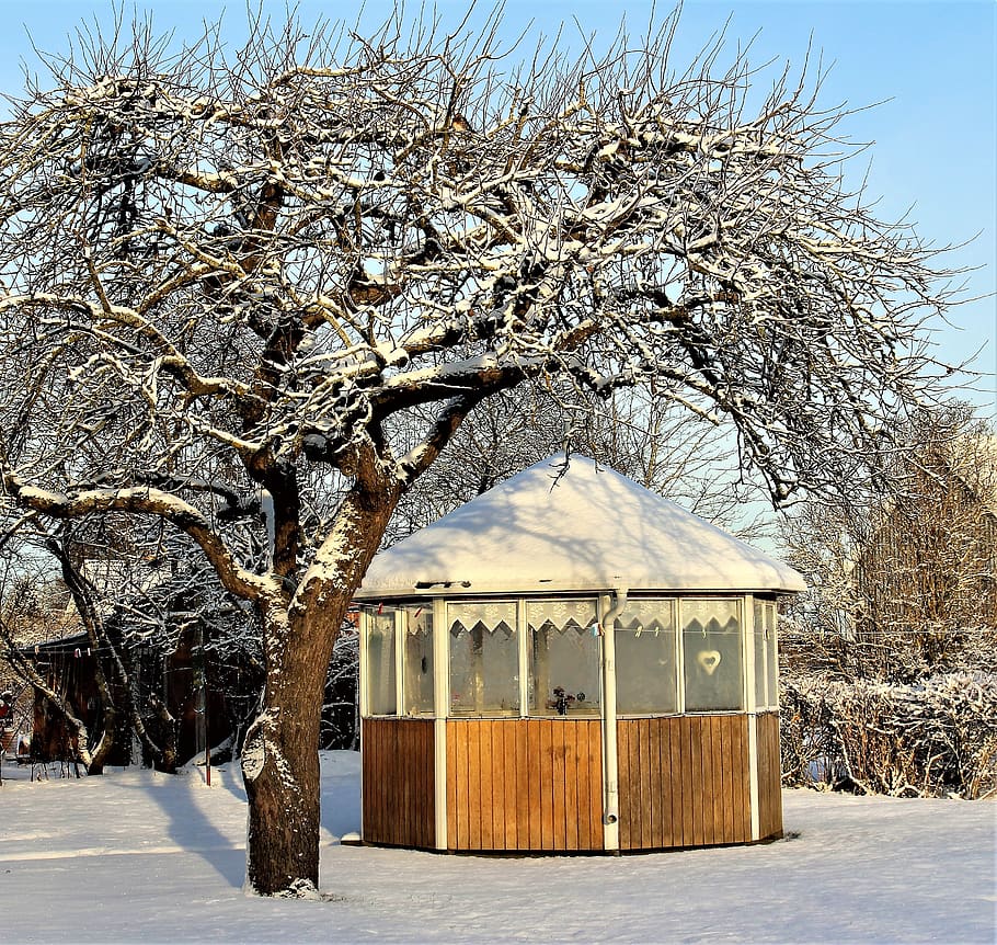 tree, winter, gazebo, nature, snow, pavilion, garden, naked trees, white, snow crystals