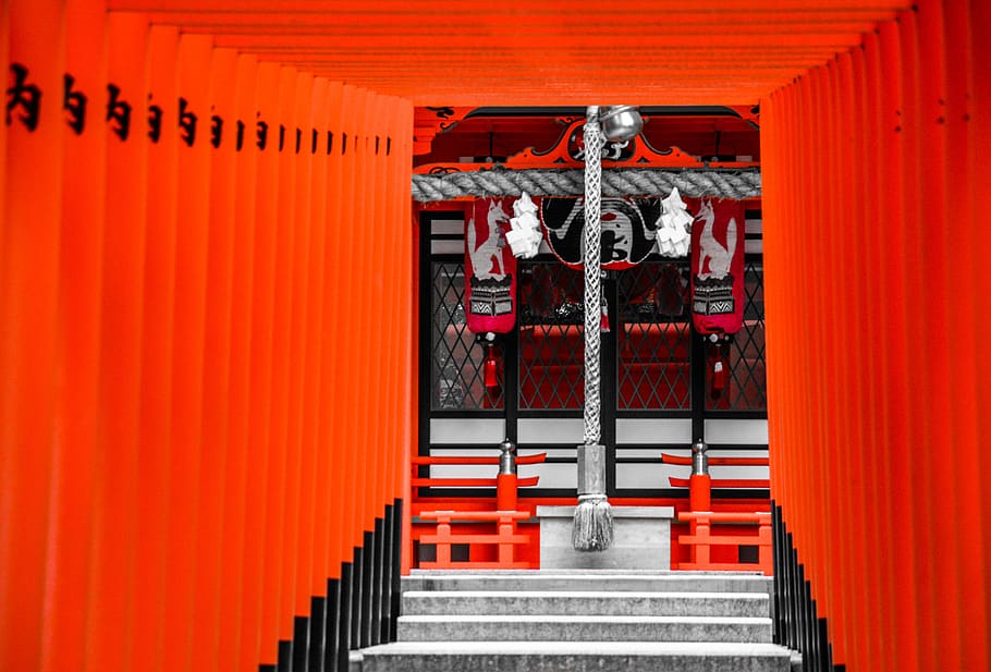 santuário, japão, kyoto, tradicional, portão, religião, viagem, antiga, cultura, japonês