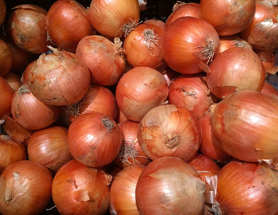 onions, orange, leather, pile up, fruit, seiyu ltd, living, supermarket, fruits and vegetables, department