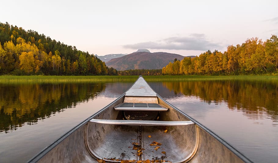 white, gray, boat, floating, body, water, lake, canoe, kayak, canoeing