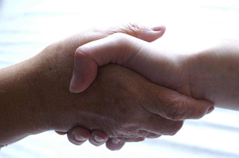 person's shaking hands, friendship, help, hands, support, human hand, hand, human body part, body part, finger