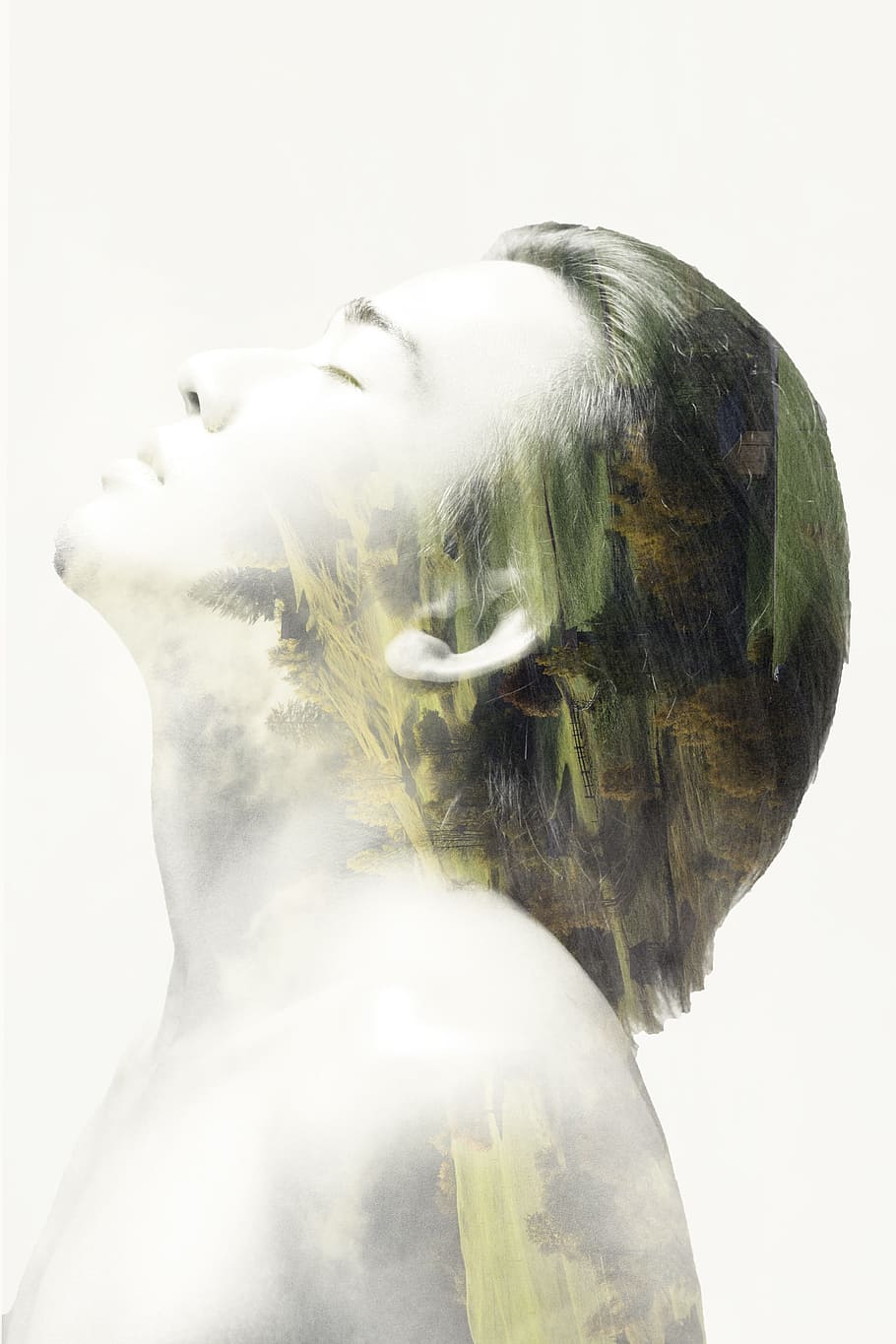 Double Exposure, Photographing, Contact, human, exposure, tree, photoshop, design, one woman only, human face