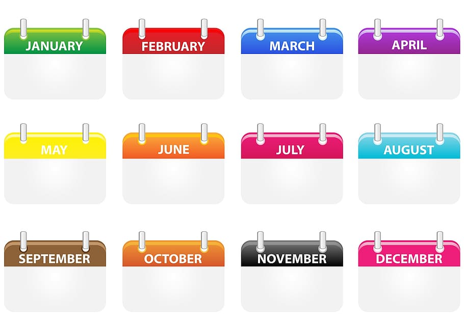 calendario, iconos, iconos de calendario, mes, meses, colorido, símbolo, icono de calendario, negocios, conjunto