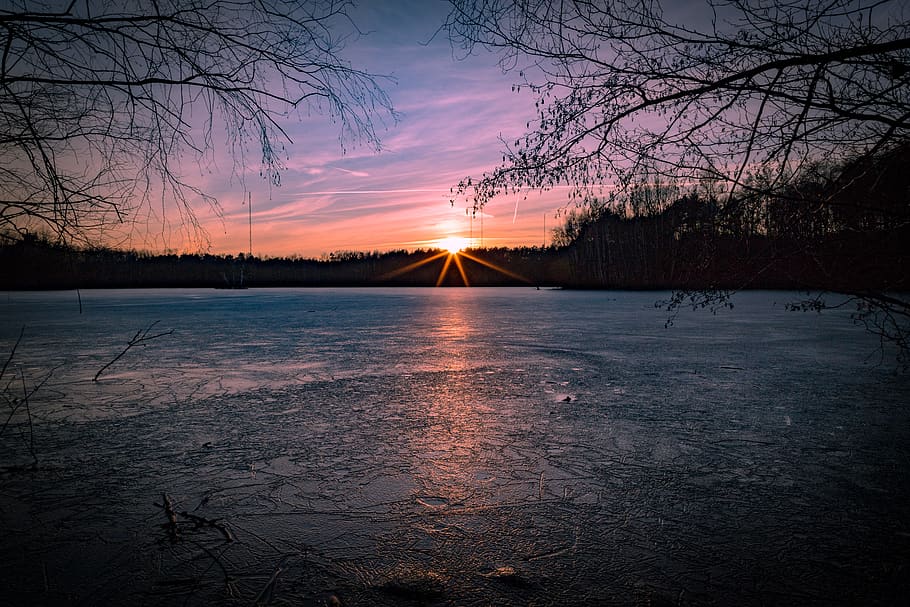 puesta de sol, naturaleza, atardecer, invierno, lago, árbol, cielo, belleza  en la naturaleza, tranquilidad, agua | Pxfuel