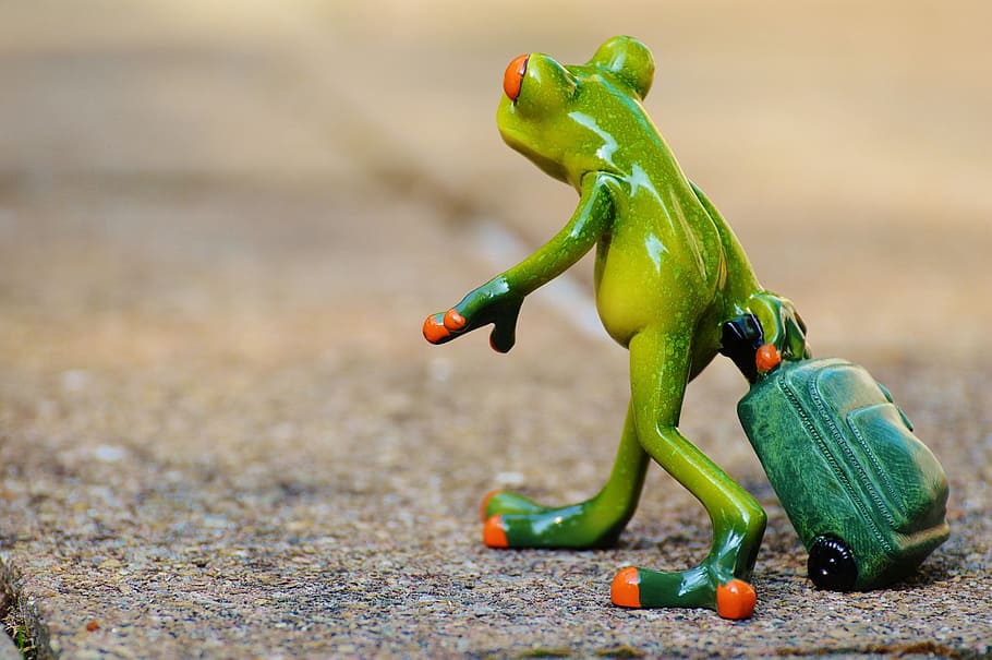 tree frog, holding, luggage, ceramic, figurine, frog, farewell, travel, holdall, go away