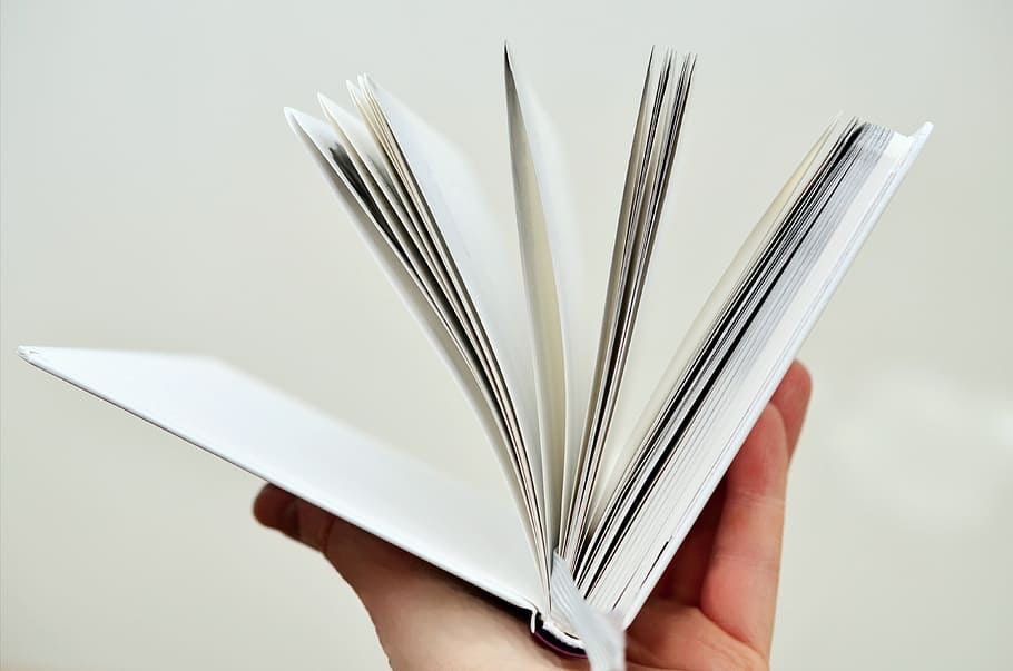 person, left, hand, holding, white, hardbound, book, book pages, paper, browse