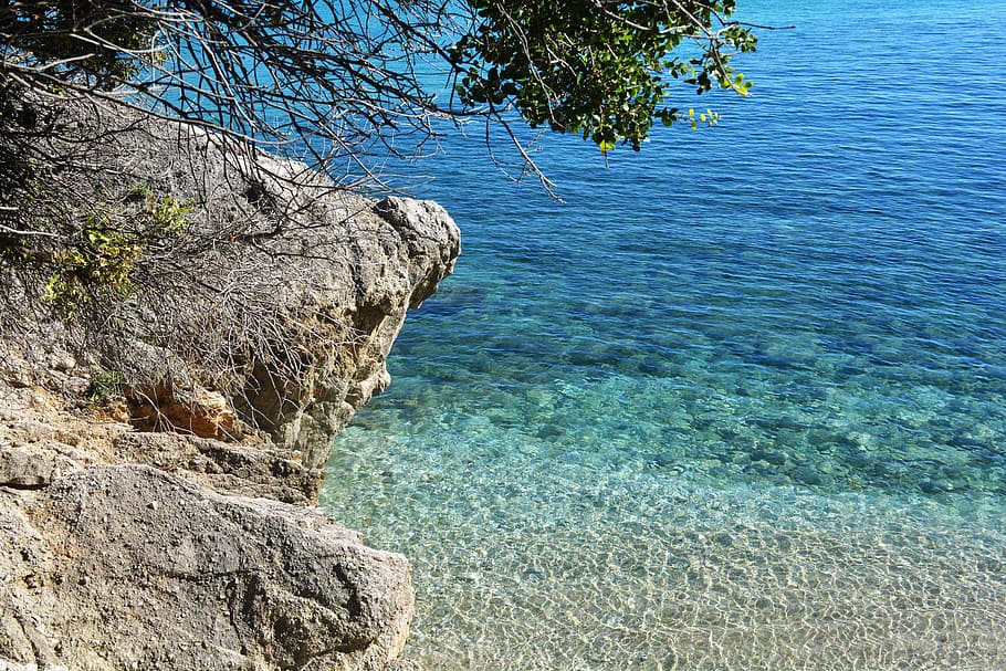 Beach, Greece, crystal clear water, water, costa, mar, blue water, tree, nature, beauty in nature
