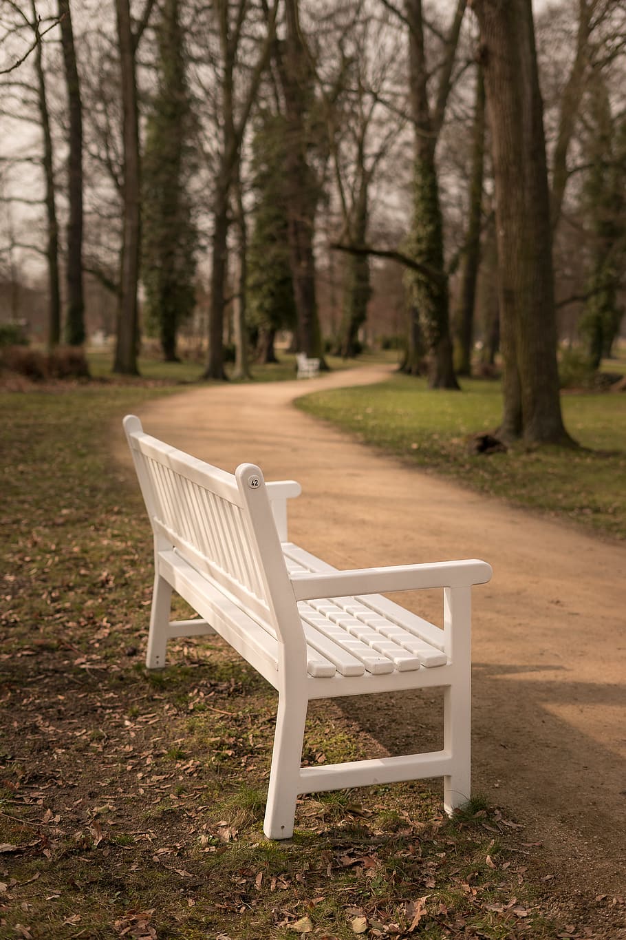 white, wooden, bench, dirt path, Bank, Rest, Relax, Reflect, Away, Silent