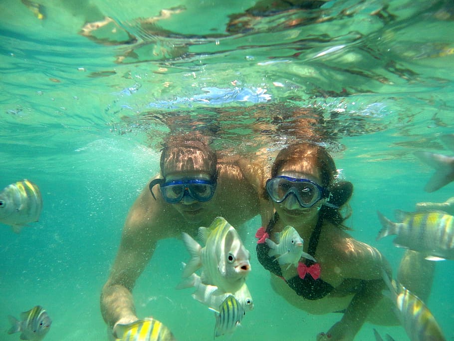 dois, homem, mulher snorkel, embaixo da agua, mergulho, março, agua, litoral, tranquilidade, turismo