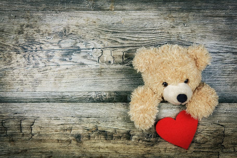 brown, teddy, bear, plush, toy, holding, red, heart, love, romance