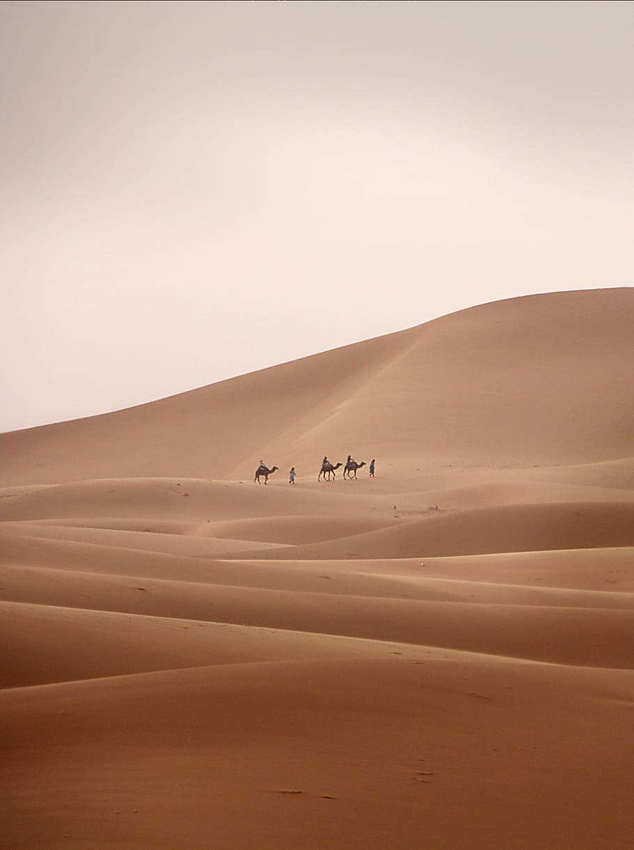 three, person, riding, camel, man, walking, sand, desert, caravan, dromedary