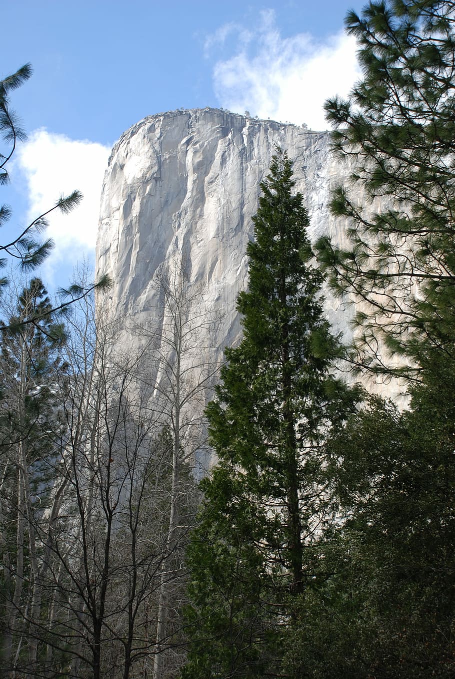 Yosemite, Parques Nacionales, California, naturaleza, viajes, paisaje, bosque, américa, roca, nubes