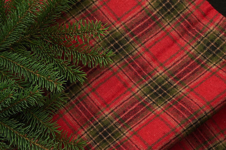 seasonal, backgrounds, christmas, flat lay, pine, tree, branches, festive, copyspace, holiday