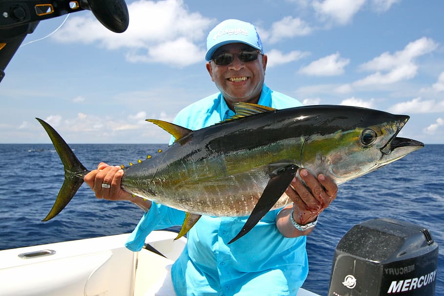 man holding fish, fishing, ocean, ocean fishing, costa rica, yellowfin, tuna, water, sea, one person