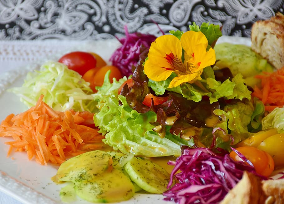 assorted veggies salad, salad, salad plate, plate, cutlery, tableware, porcelain, do decorate, pleasure, taste