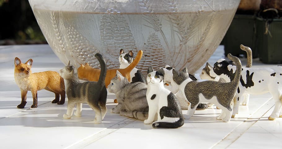 Gatos, figuritas, felinos, lindo, colección, decoración, al aire libre, gatitos, tabbies, maceta