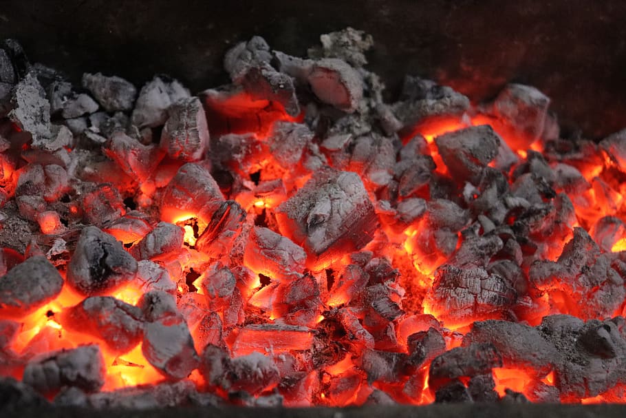 carvão, fogo, queima, lareira, queimar, quente, calor - temperatura, fogo - fenômeno natural, incandescente, natureza