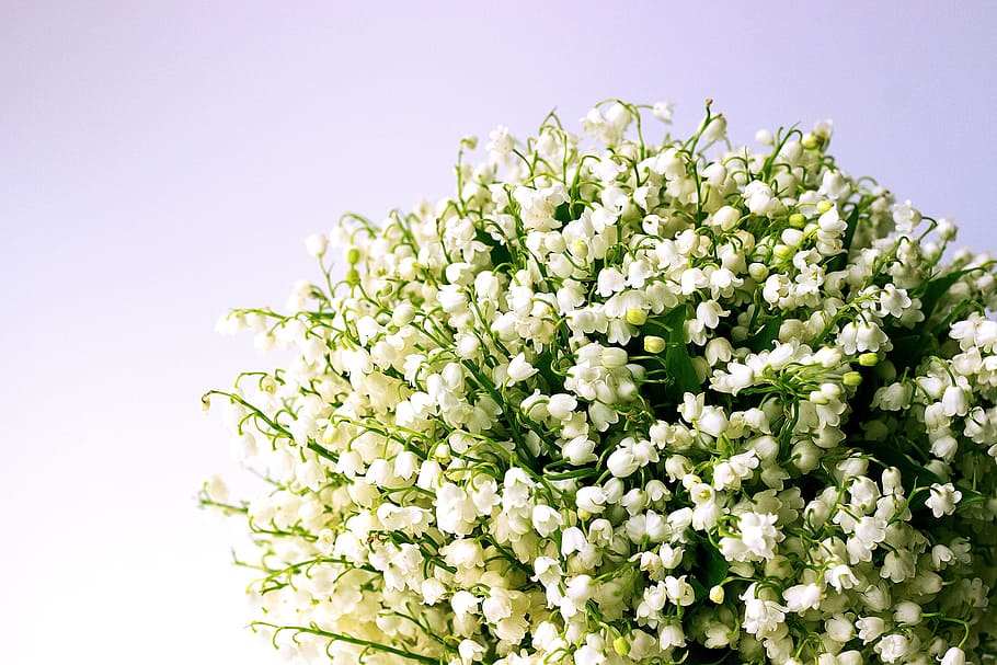 bouquet, lily, valley flowers, lily of the valley, white flowers, spring, lily-of-the-valley, blossom, scented, nature