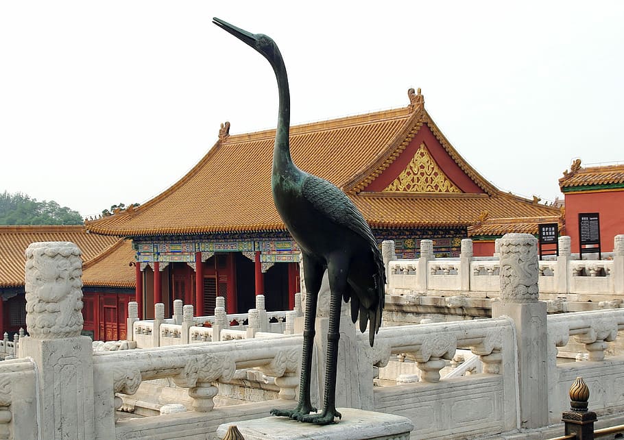 China, Pekin, Beijing, Forbidden City, crane, decoration, marble, imperial flag, emperor, asia