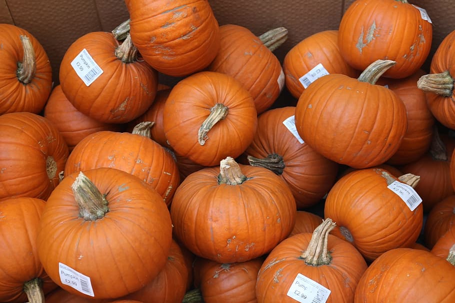 カボチャ 食品 オレンジ 野菜 秋 ハロウィーン 季節 スカッシュ 食べ物や飲み物 食べ物 Pxfuel