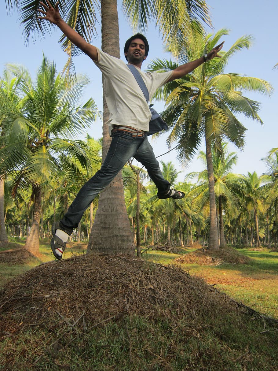 man, wearing, white, crew-neck t-shirt, jumping, behind, palm tree, leaping, jump, joy