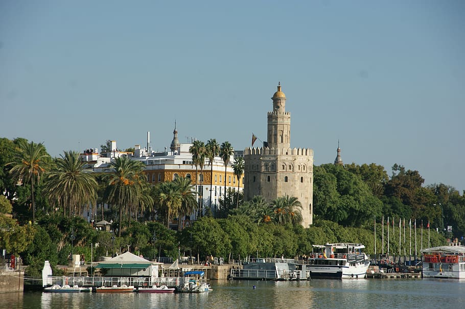 torre oro, seville, andalusia, spain, water, architecture, building exterior, tree, nautical vessel, built structure