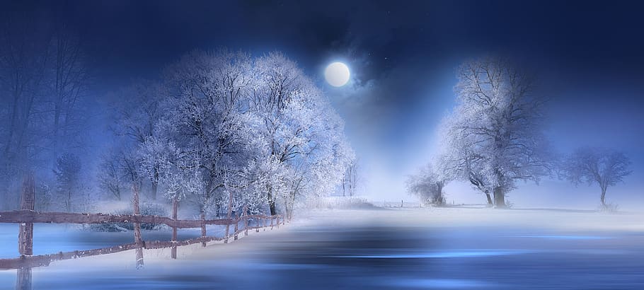 nature, landscape, winter, the winter's tale, snow, wintry, lake, winter night, moon, full moon