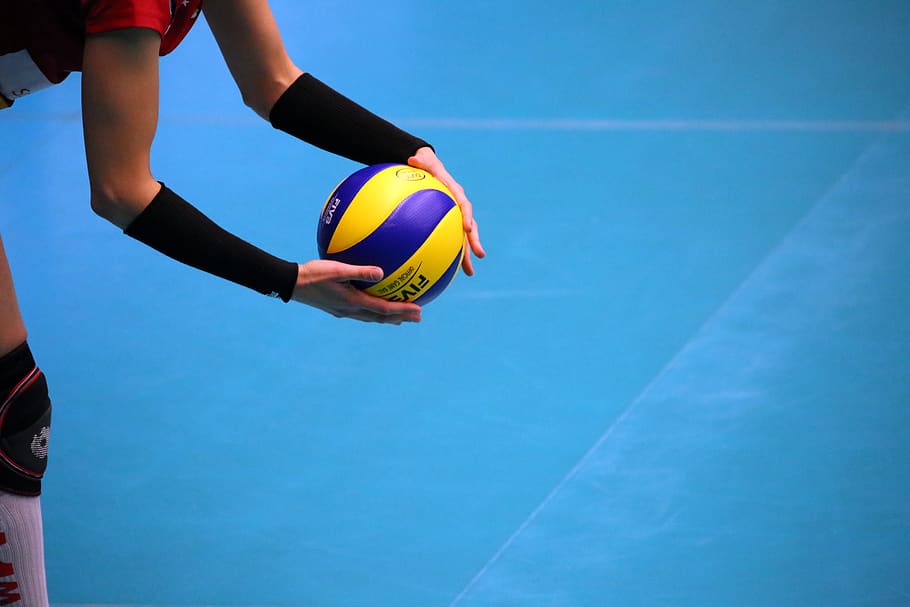 volleyball, sport, premium, player, ball, volley, ball sports, team sport, competition, training