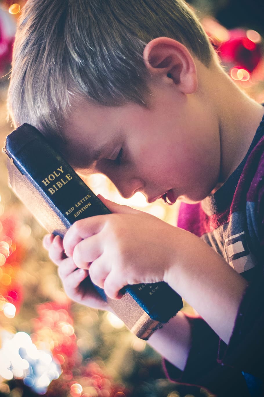 chico, sosteniendo, santa, biblia, libro, lectura, religioso, mano, bokeh, niño