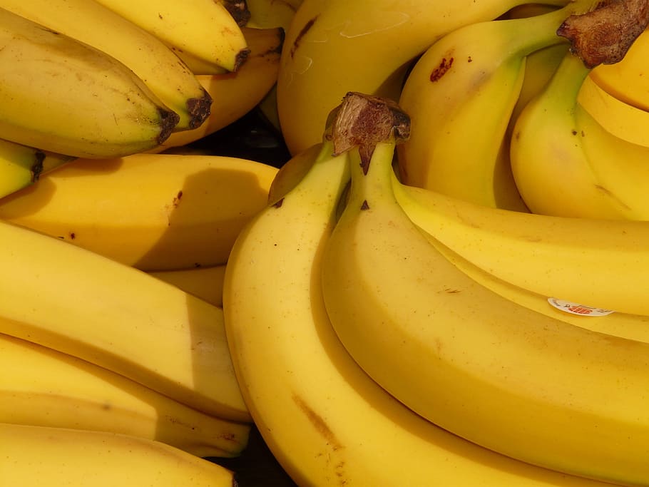 ripe banana lot, banana, fruit, healthy, yellow, tropical, food, banana shrub, shrub, bananas